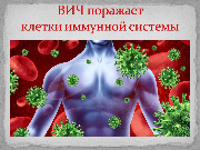 Слайд2